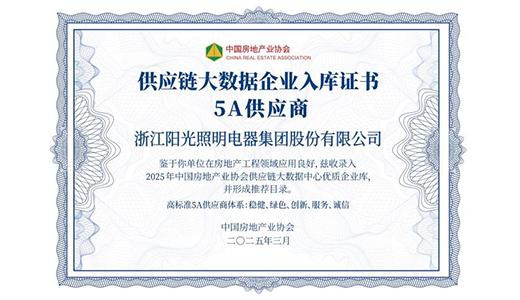 意昂娱乐照明荣膺 “2025 房建供应链综合实力 TOP500 首选供应商?照明灯具类” 三甲！